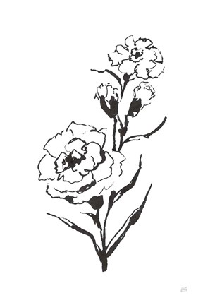 Framed Line Carnation III Print