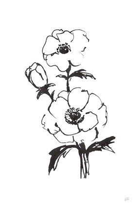 Framed Line Anemone II Print