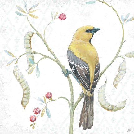 Framed Desert Beauties XII Print