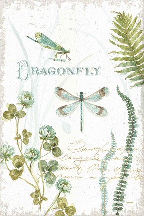 Framed My Greenhouse Botanical Dragonfly Print