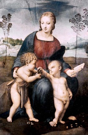 Framed Madonna del Cardellino, 1507 Print