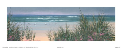 Framed Windswept Dune Print