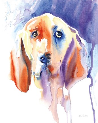 Framed Basset Hound Print
