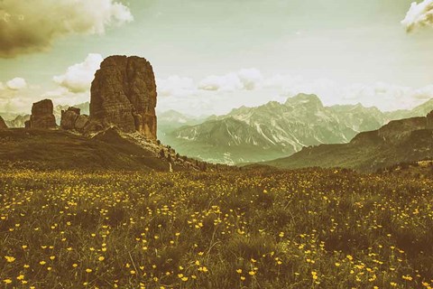 Framed Floral Fields Print