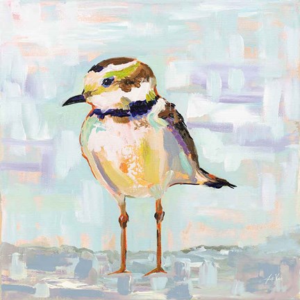 Framed Coastal Plover II Neutral Print