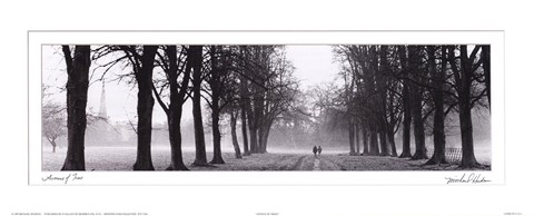 Framed Avenue of Trees BW Print