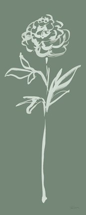 Framed Floral Line II Green Print