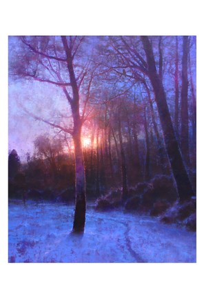 Framed Winter Silence Print