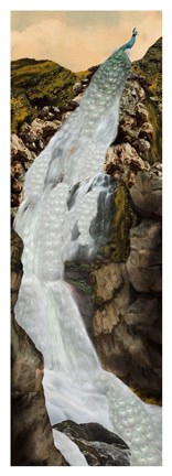 Framed Peacock Falls Print