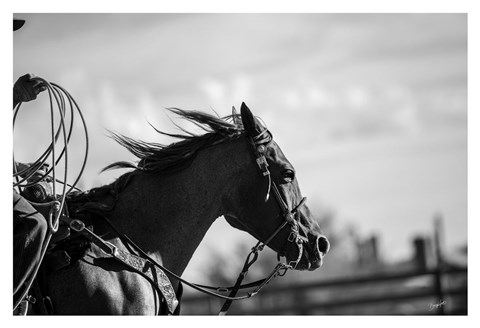 Framed Runnin&#39; Against the Wind Print