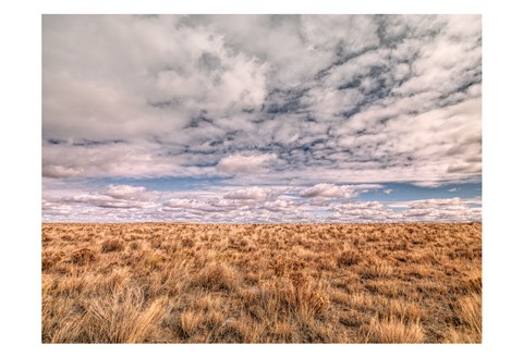 Framed Idaho Forever Print