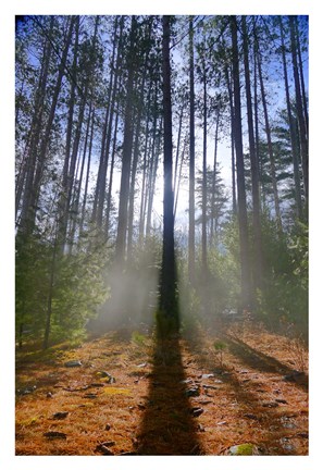 Framed Cooper Lake Vision Print