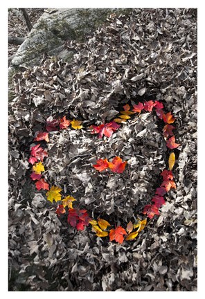 Framed Love in the Leaves Print