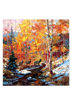 Framed Elk and Aspens Print