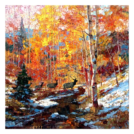 Framed Elk and Aspens Print