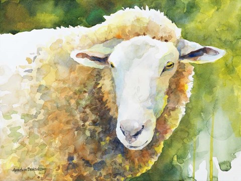 Framed Sheep IV Print