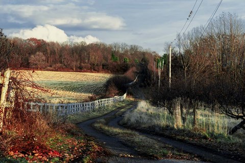 Framed Lane Along Wooden Fence In Autumn Print