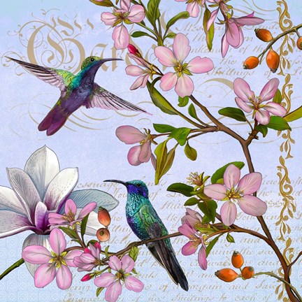 Framed Hummingbird Botanical Print