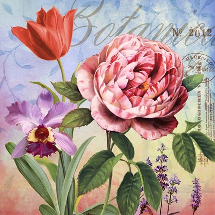 Framed Botanique with Rose Print