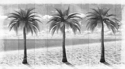 Framed 3 Island Palms Print