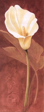 Framed Calla Lily Print