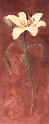 Framed Day Lily Print