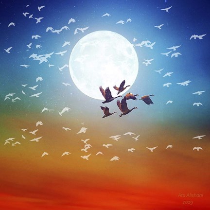 Framed Birds Flying 1 Print