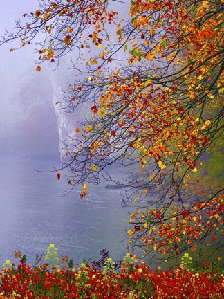 Framed Autumn Beauty Print