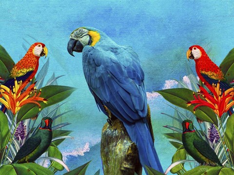 Framed Bird Kingdom 4 Print