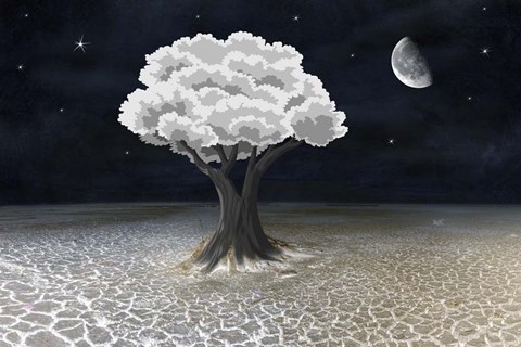 Framed Moon Tree Print