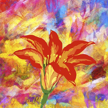 Framed Emotional Journy 38 Print