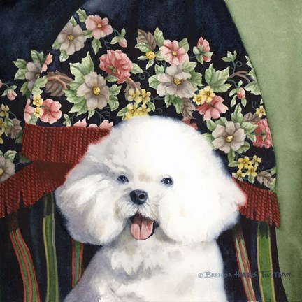 Framed Bichon Frise Print