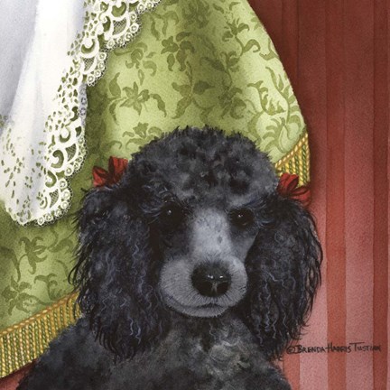 Framed Black Poodle Print