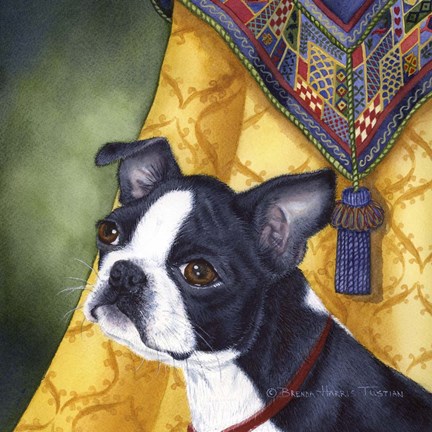Framed Boston Terrier Print