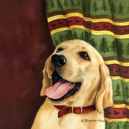 Framed Yellow Labrador Retriever Print