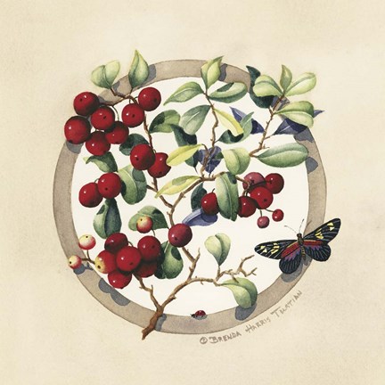 Framed Cranberries Print
