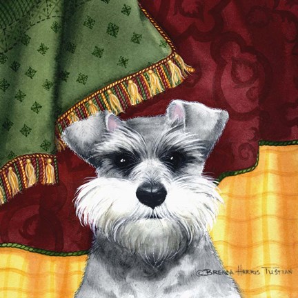 Framed Schnauzer Print
