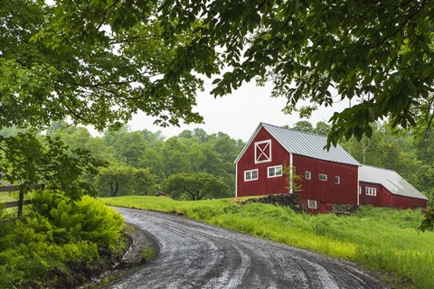 Framed Coming Home Print