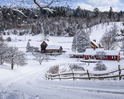 Framed Winter in Vermont Print