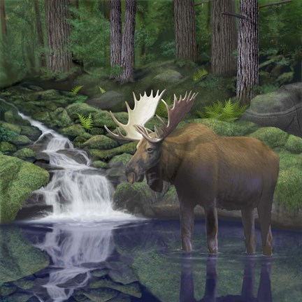 Framed Woodland Moose Print