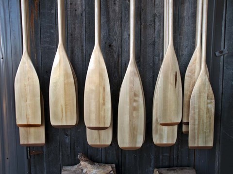 Framed Canoe Paddles Print