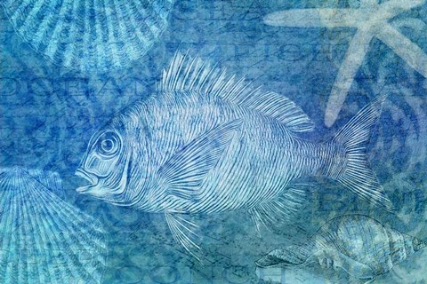 Framed Blue Ocean Fish Print