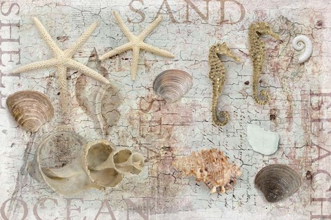 Framed Beach Finds Print