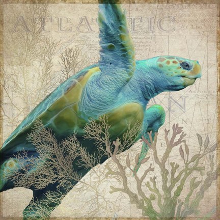 Framed Sea Turtle Atlantic Print