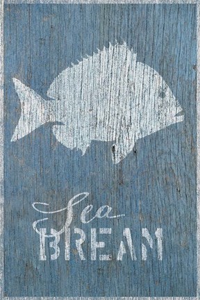 Framed Seabream on Blue Print