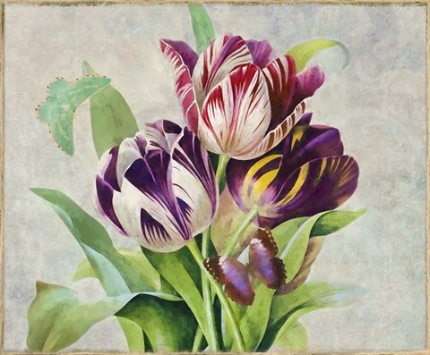Framed Bouquet Tulips I Print