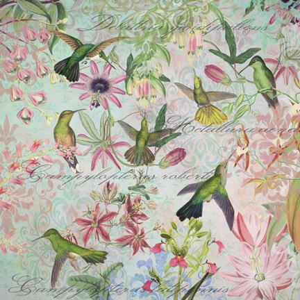 Framed Hummingbird Arabesques Print