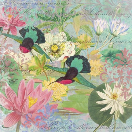 Framed Nyphea Arabesques Print