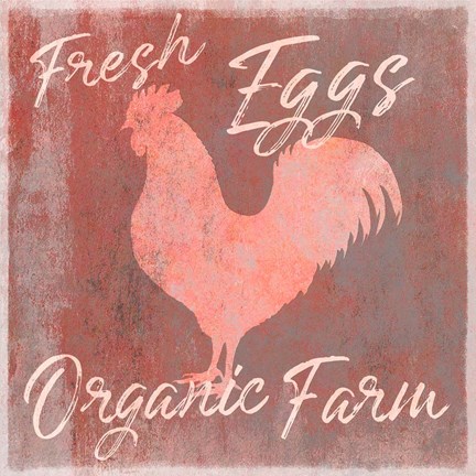 Framed Organic Farm Rooster Print