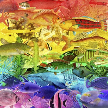 Framed Rainbow Fish Print